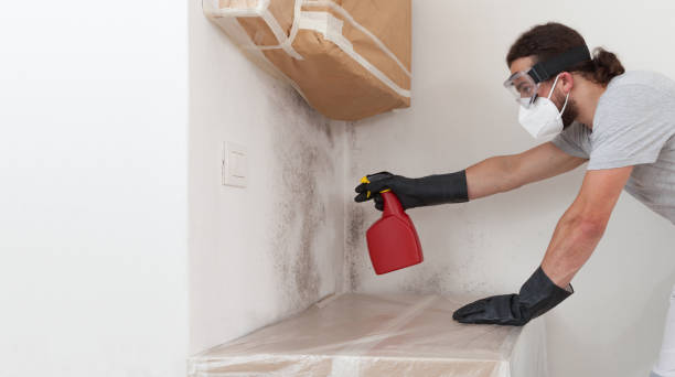Professional Bathroom Mold Removal technician working in Coltons Point, MD